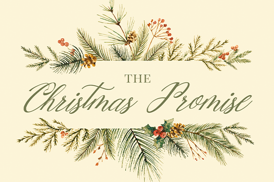 The Christmas Promise